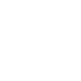 Papaについて